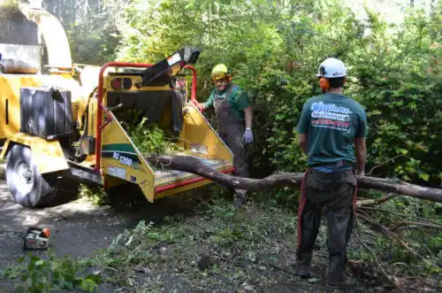 tree services Greenwood